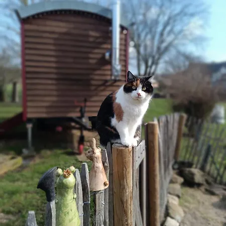 Auszeit Am Vulkan - Mit Fasssauna