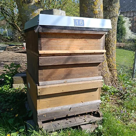 Auszeit Am Vulkan - Fewo Mit Klima Und Spa
